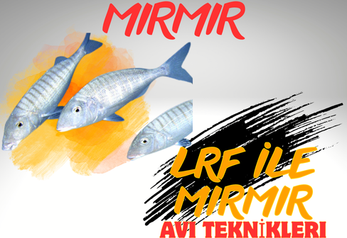 LRF İLE MIRMIR AVI TEKNİKLERİ