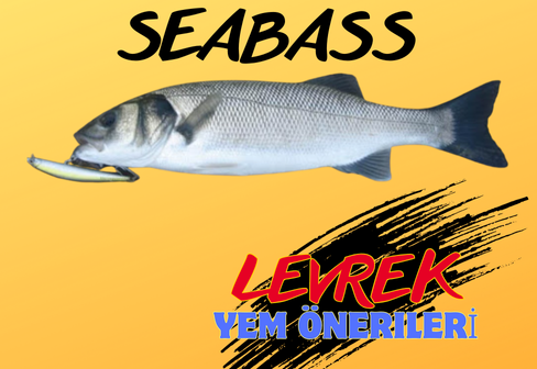 Levrek Avında En Çok İşe Yarayan 7 Sahte Yem