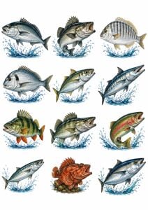 ADAŞ BALIKÇILIK FISH FIGURES STICKERS