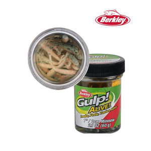 Berkley Gulp Minnow Alive Lrf Silikonu