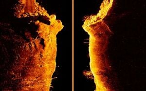 Raymarine Element 7 HV Chirp Balık Bulucu+Gps