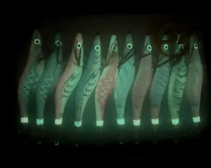 Shufa 10 Adet Kutulu 3.0 Kalamar Zokası - 115mm 15gr