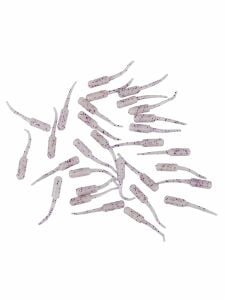 Fujin Baby FRY 2,7cm LRF Silikon Yem