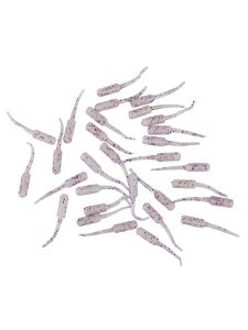 Fujin Baby FRY 2,7cm LRF Silikon Yem