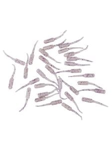 Fujin Baby FRY 2,7cm LRF Silikon Yem