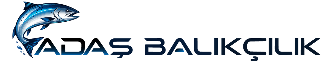 3. Sayfa - Kamışlar